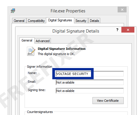 Screenshot of the VOLTAGE SECURITY certificate